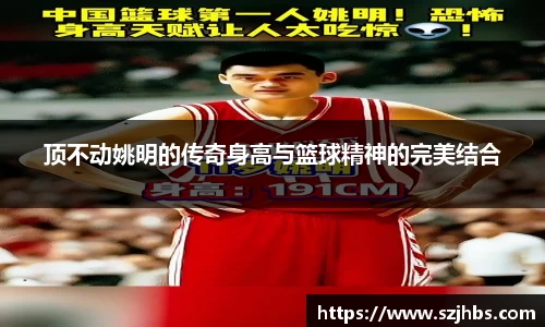 贝博BB艾弗森官网