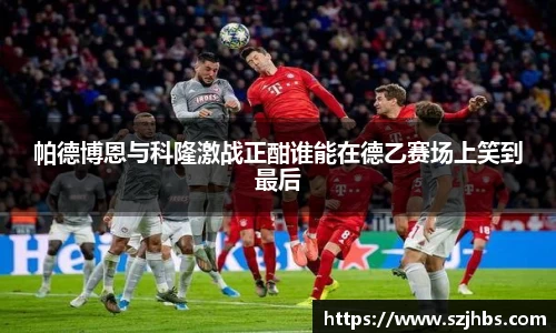 帕德博恩与科隆激战正酣谁能在德乙赛场上笑到最后