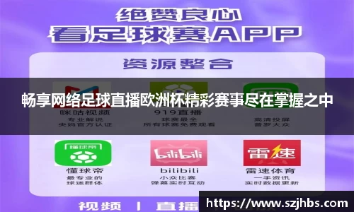 畅享网络足球直播欧洲杯精彩赛事尽在掌握之中